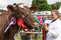 Malton Show 2024